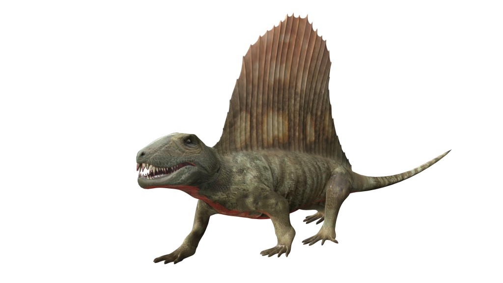 Dimetrodon Prehistoric Reptile Animated 3D Model